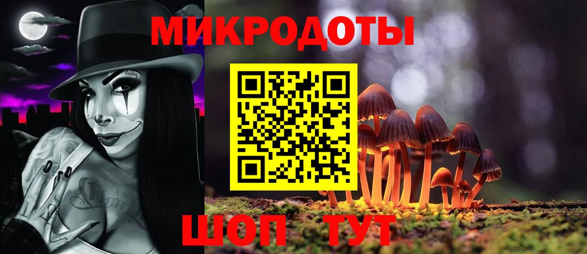 Псилоцибиновые грибы GOLDEN TEACHER  Галлюциногенные грибы MAGIC MUSHROOMS  купить   Вход с VPN  Бердск 