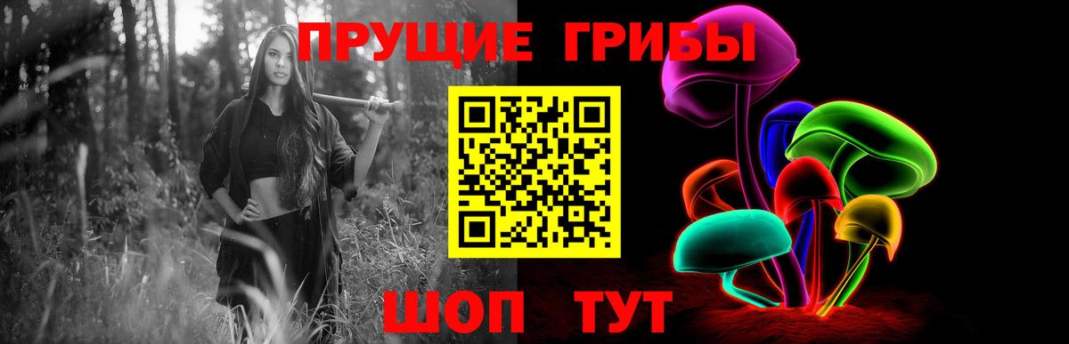 Галлюциногенные грибы Magic Shrooms Бердск